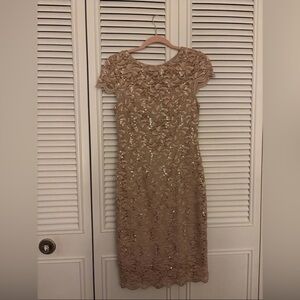 Alex Evenings champagne lace cocktail dress